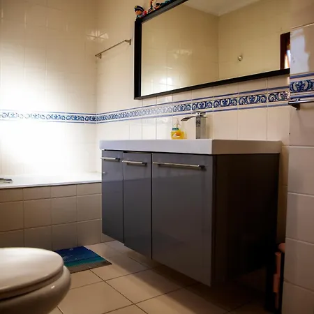 别墅 Sta Luzia Douro 阿马兰特