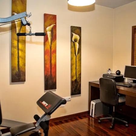 ヴィラ Sta Luzia Douro *