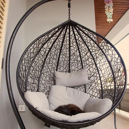 Sta Luzia Douro アマランテ